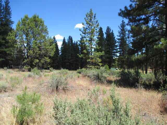 Lot 10 TEAL Dr  