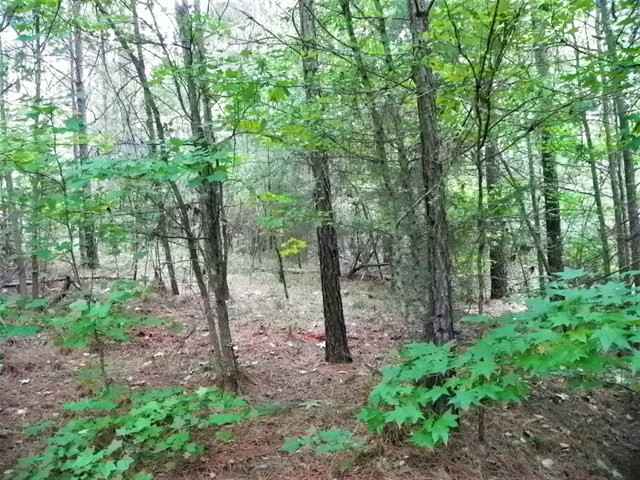 733 Eagles Hbr Dr  