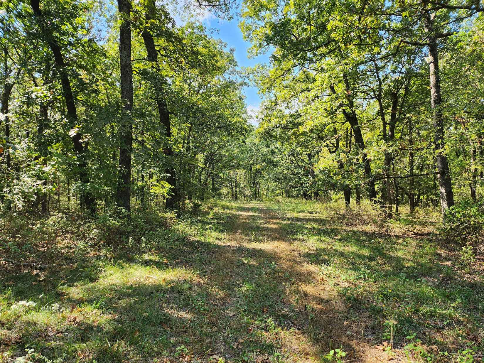 000 Highway 83 (Tract 179)  