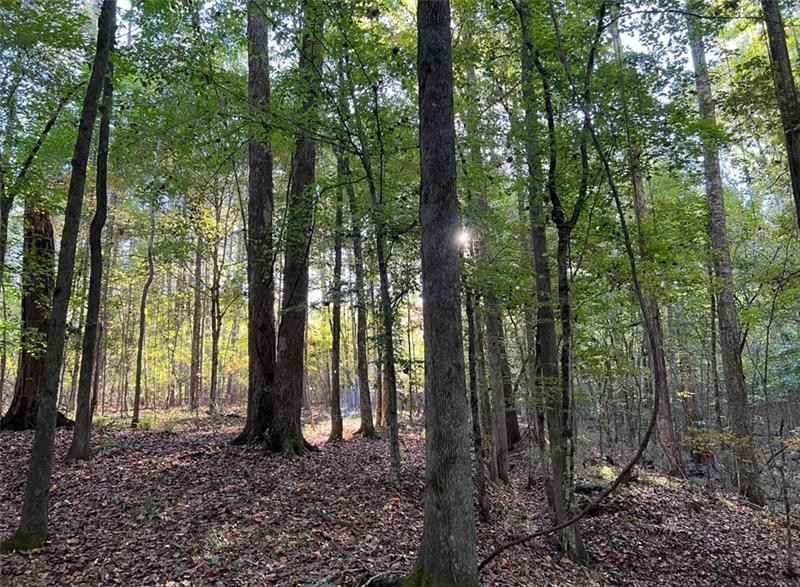 31 Acres Lee Rd 379  