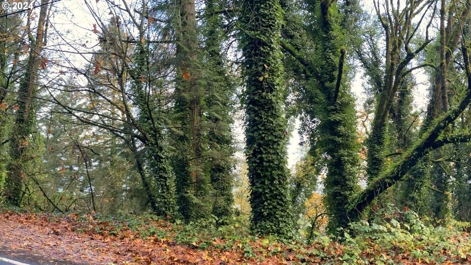 9843 Nw Germantown Rd  