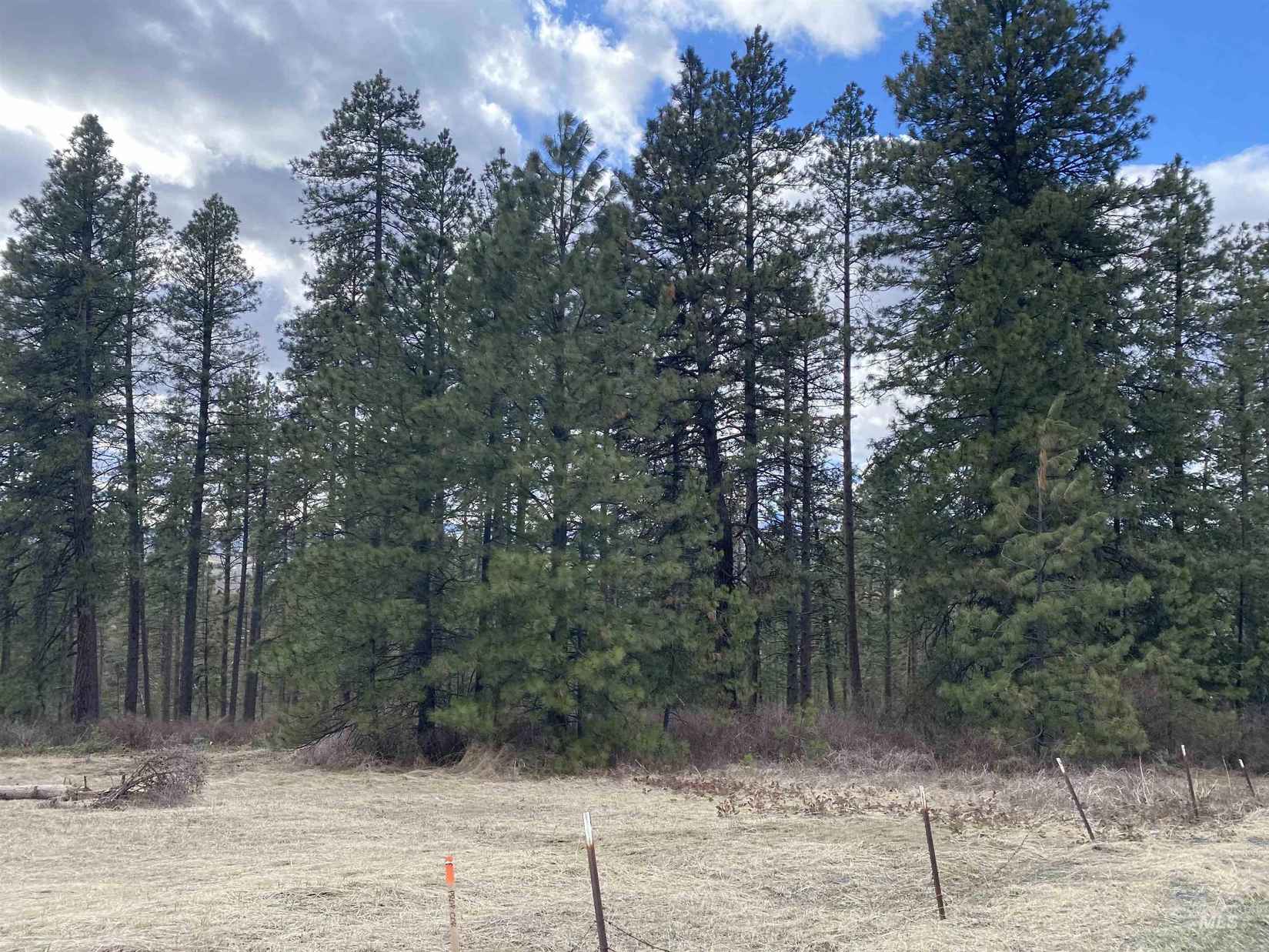 000 Saddle Ridge (Parcel 1)  