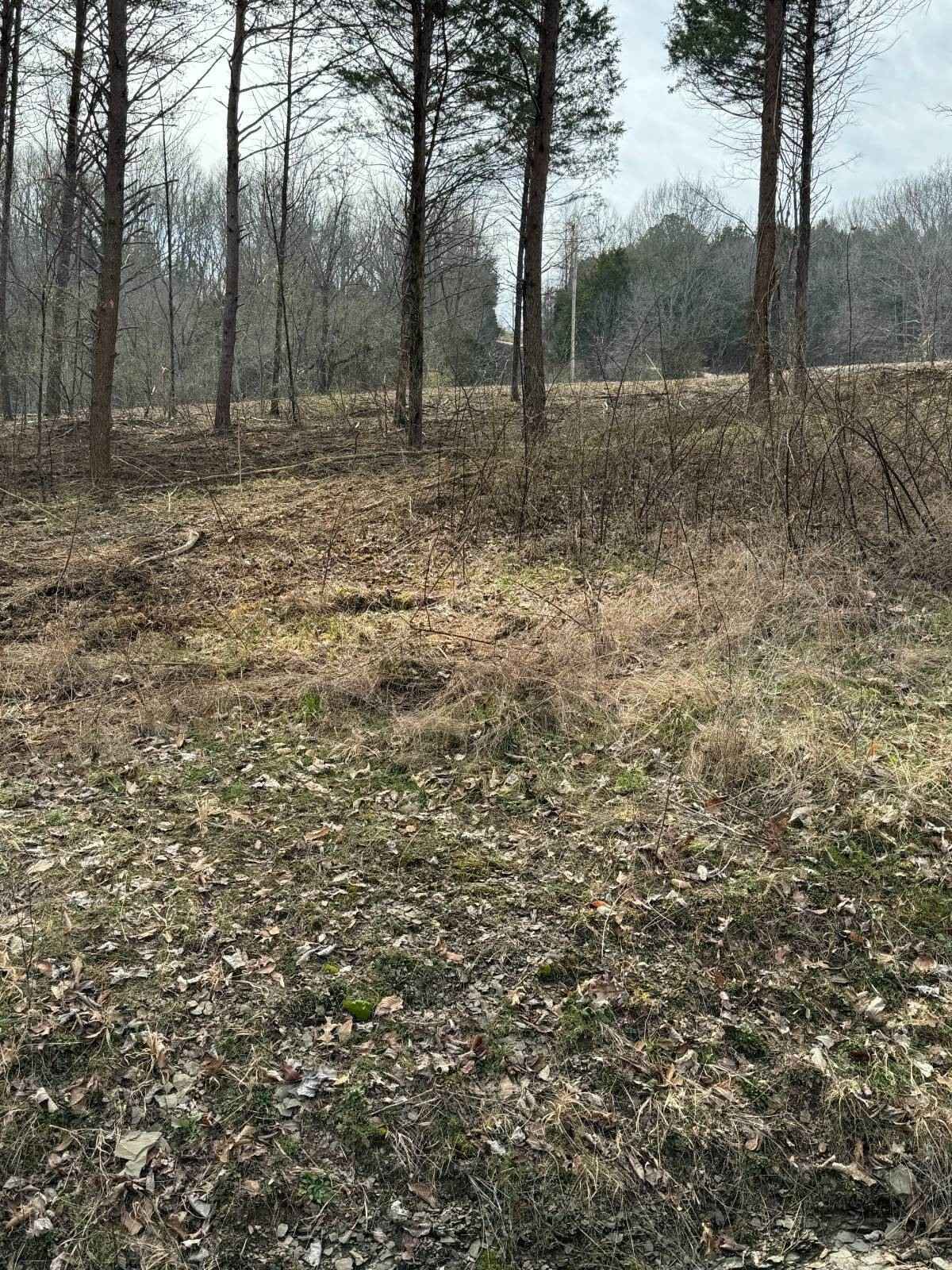 1 Peytonsburg-Sulphur Rd  