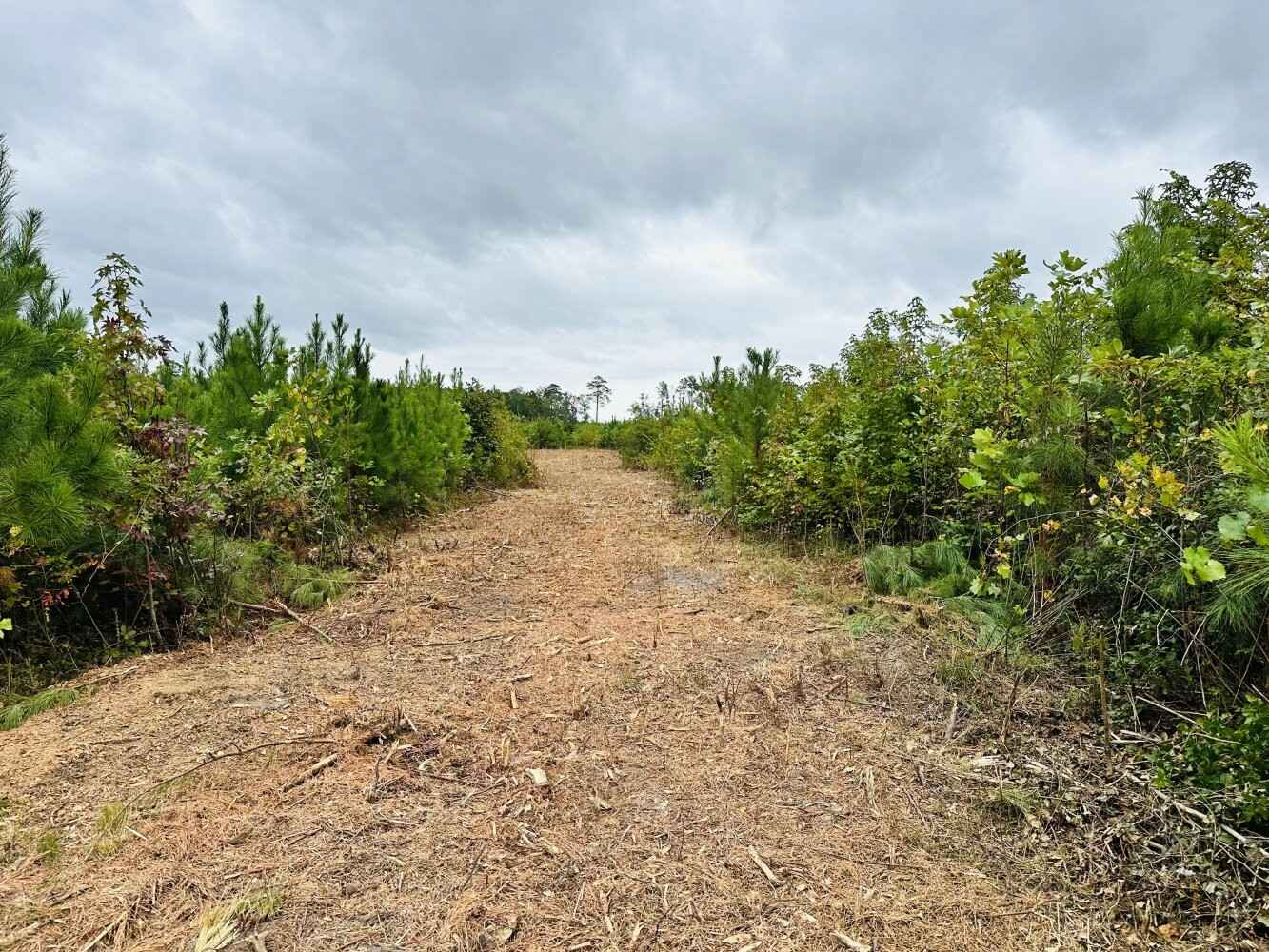 0 Cappahosic Road 0 York Hvn Ln  