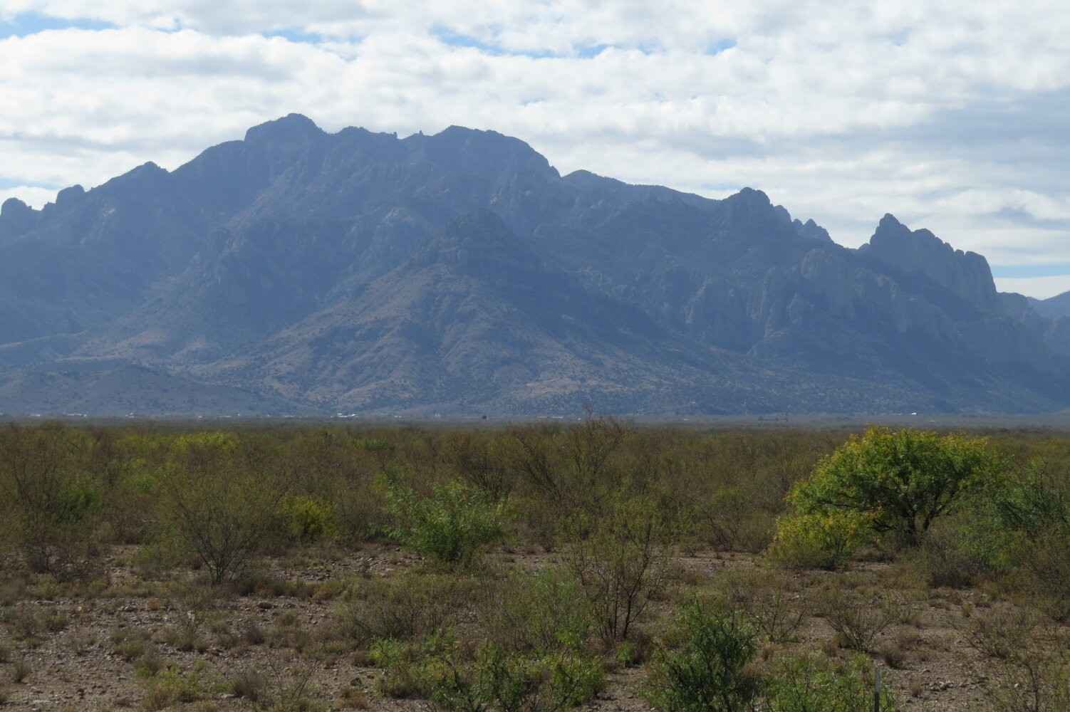 off Wheteton Rd NM Hwy 80  
