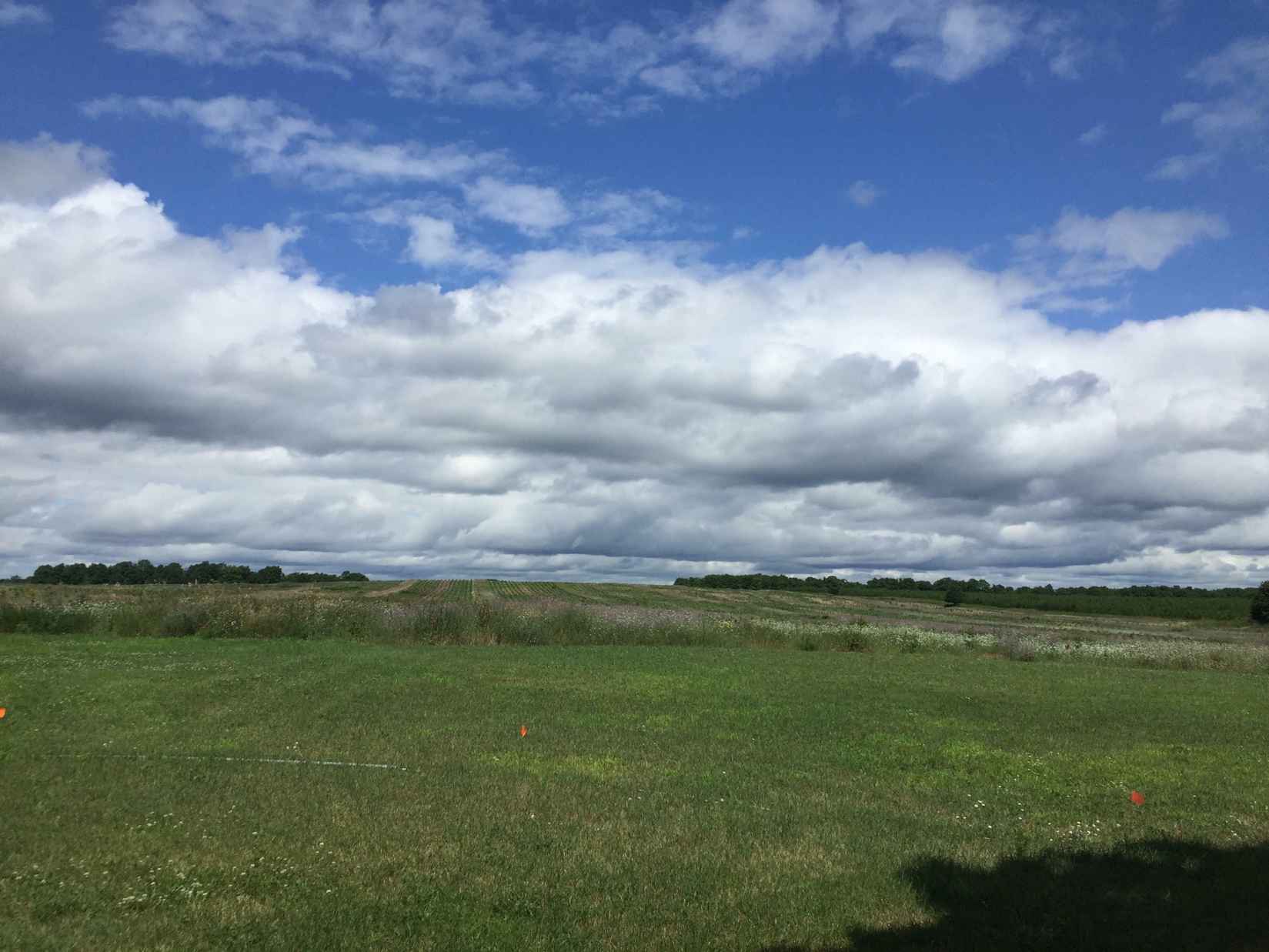 6400 M-113 69 15 ACRES  