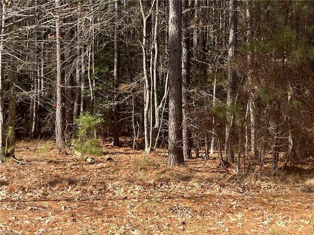 14429 Christopher Cts  