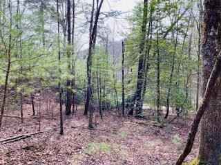 12 8 Fisher Fld Rd  