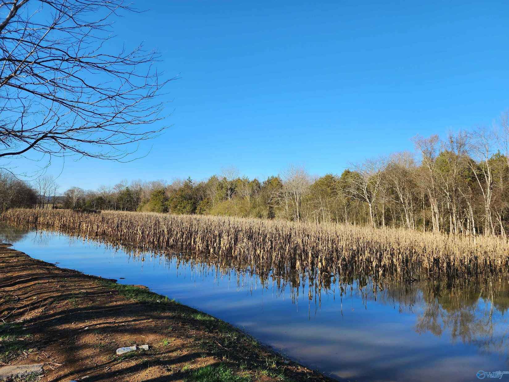 35/- Acres Of County Rd 11  