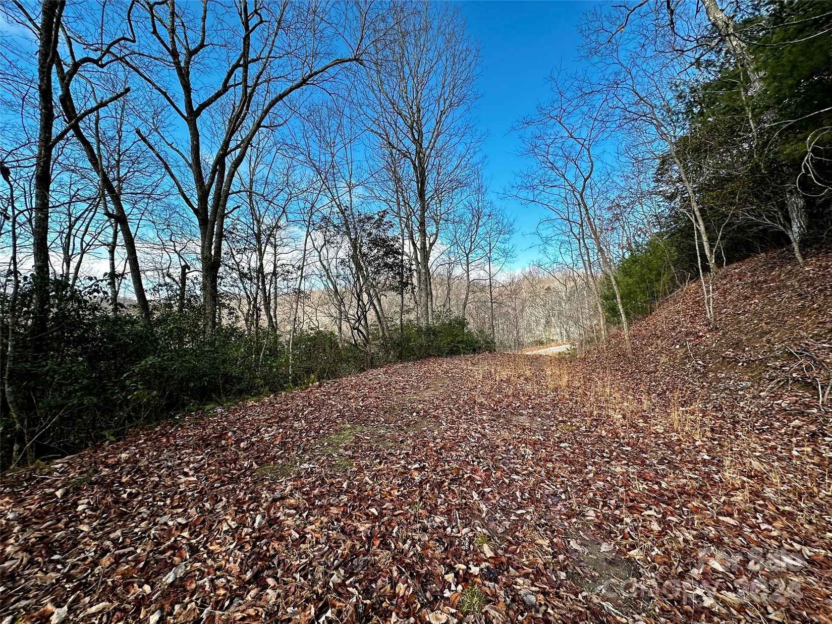 Lot 47 N Nickajack Rd  