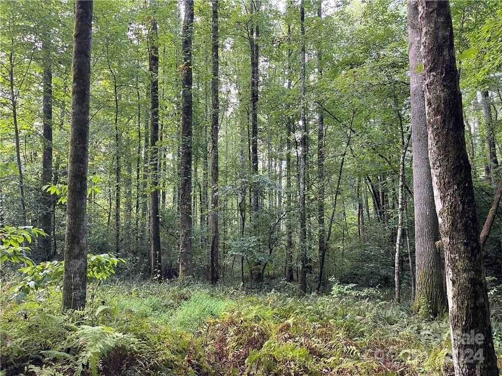 Lot 37 Mountain Brk Trl  