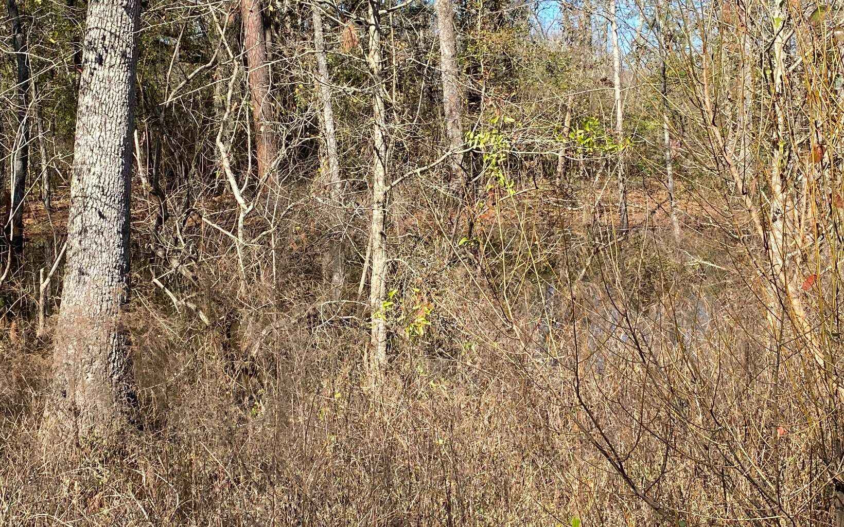 LOT60 NW CHAMPION OAK BLVD  