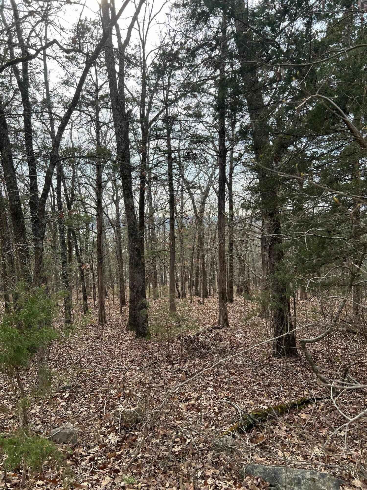 Lot 30 Mallard Dr  