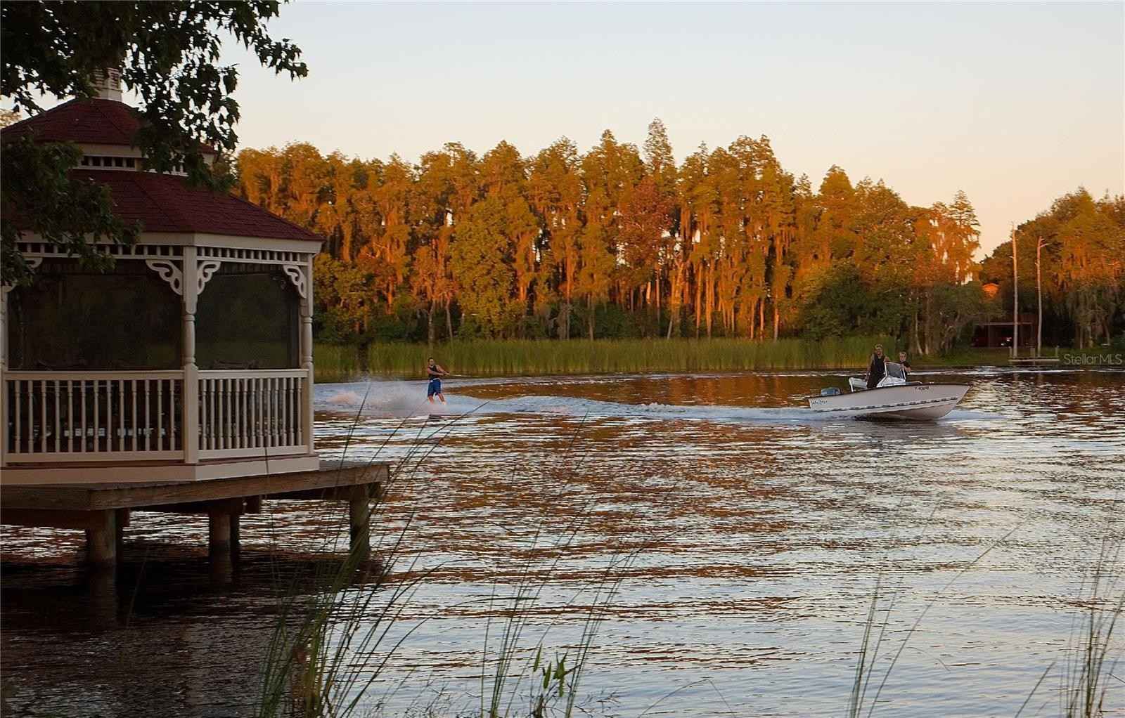 113 Bellamere Palms Ct  