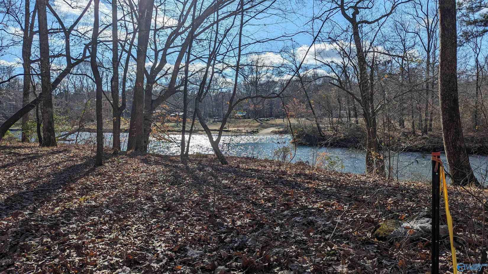 Lot 12 County Rd 137  