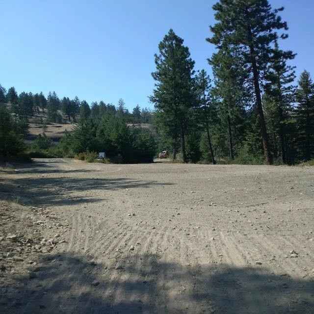 35394 N Spruce Grouse  