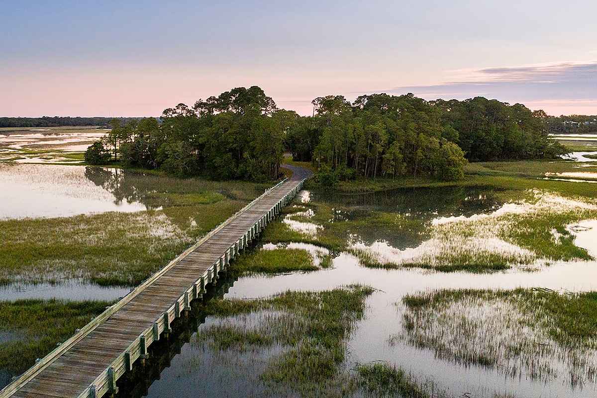 88 Trailing Vine Way  