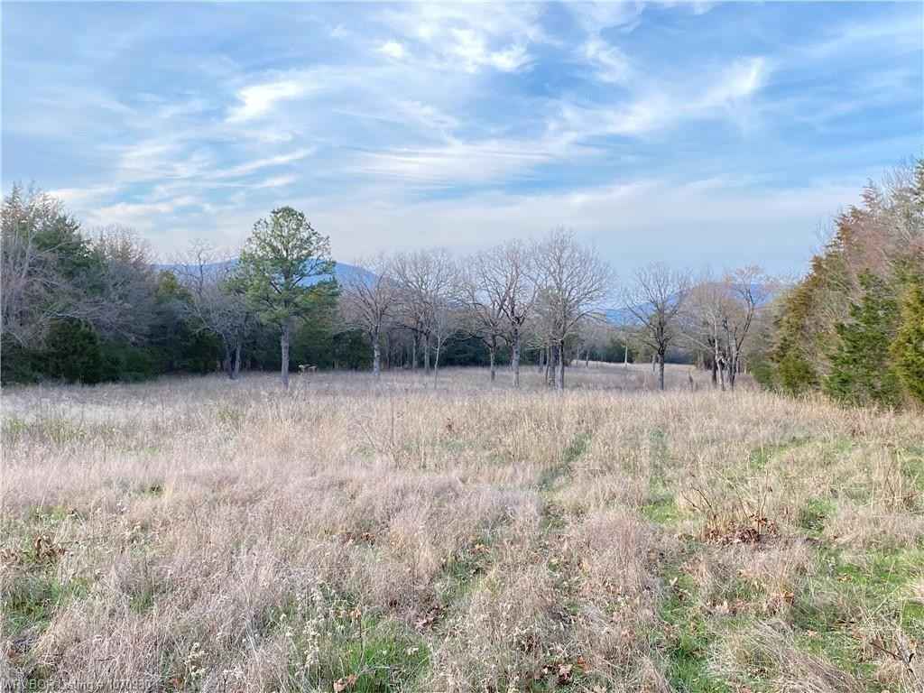 TBD Lot 8 Poteau Mtn RD  