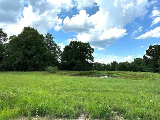 Lot 5 PR 45855  