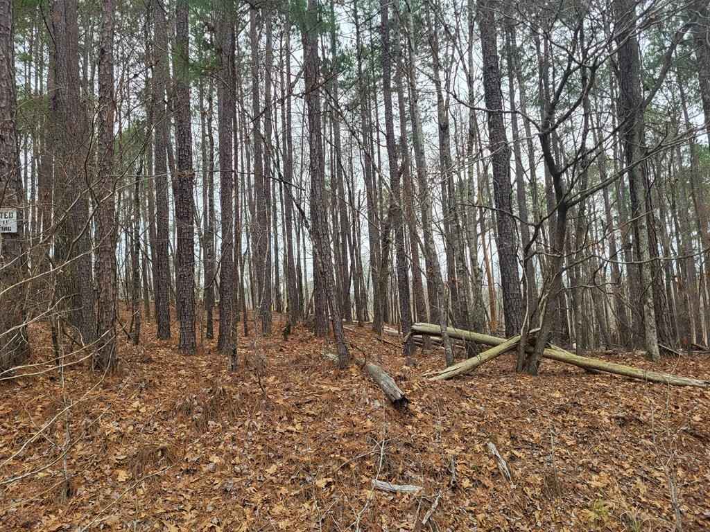 Lot 801 Island Crk Dr  