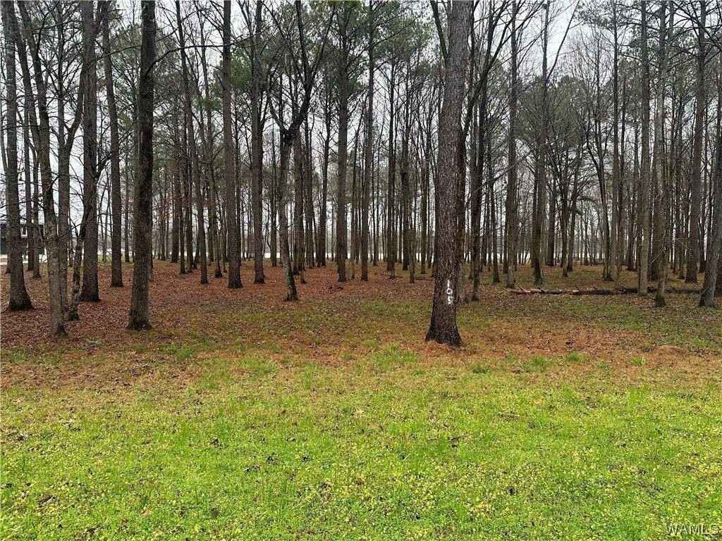 105 Cypress Pt Dr  
