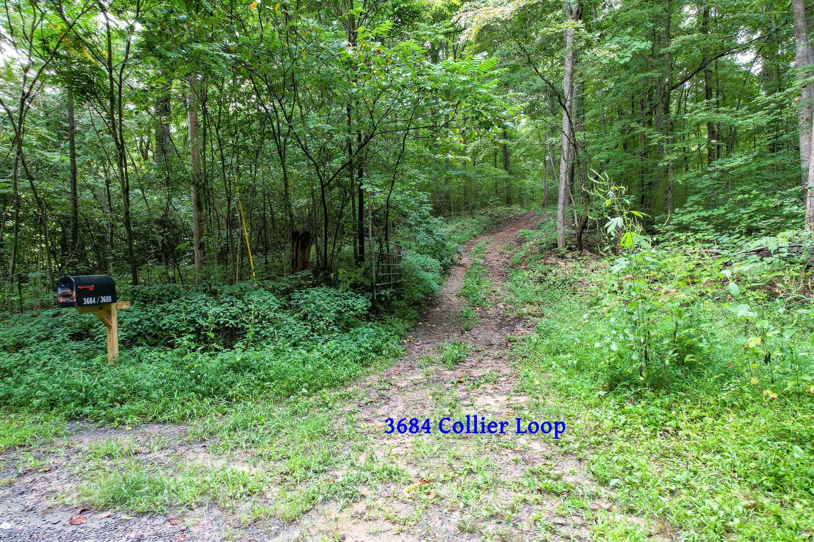 3684 Collier Loop  