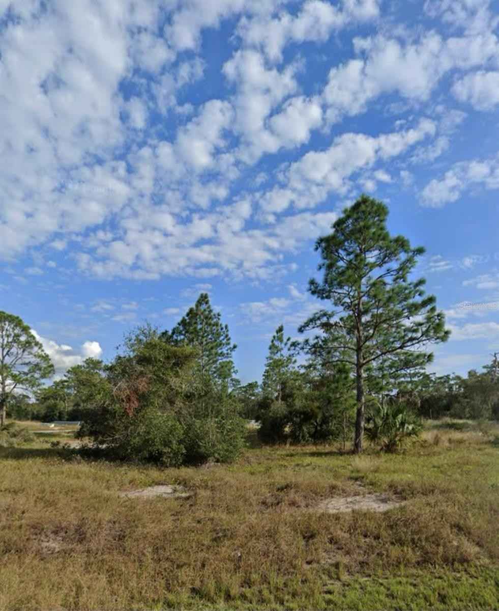 1334 HOMOSASSA Ct  