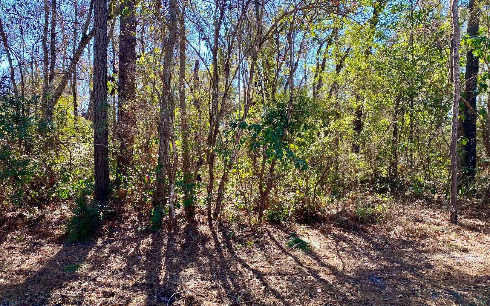 LOT 6 NW ALAPAHA WOODS Way  