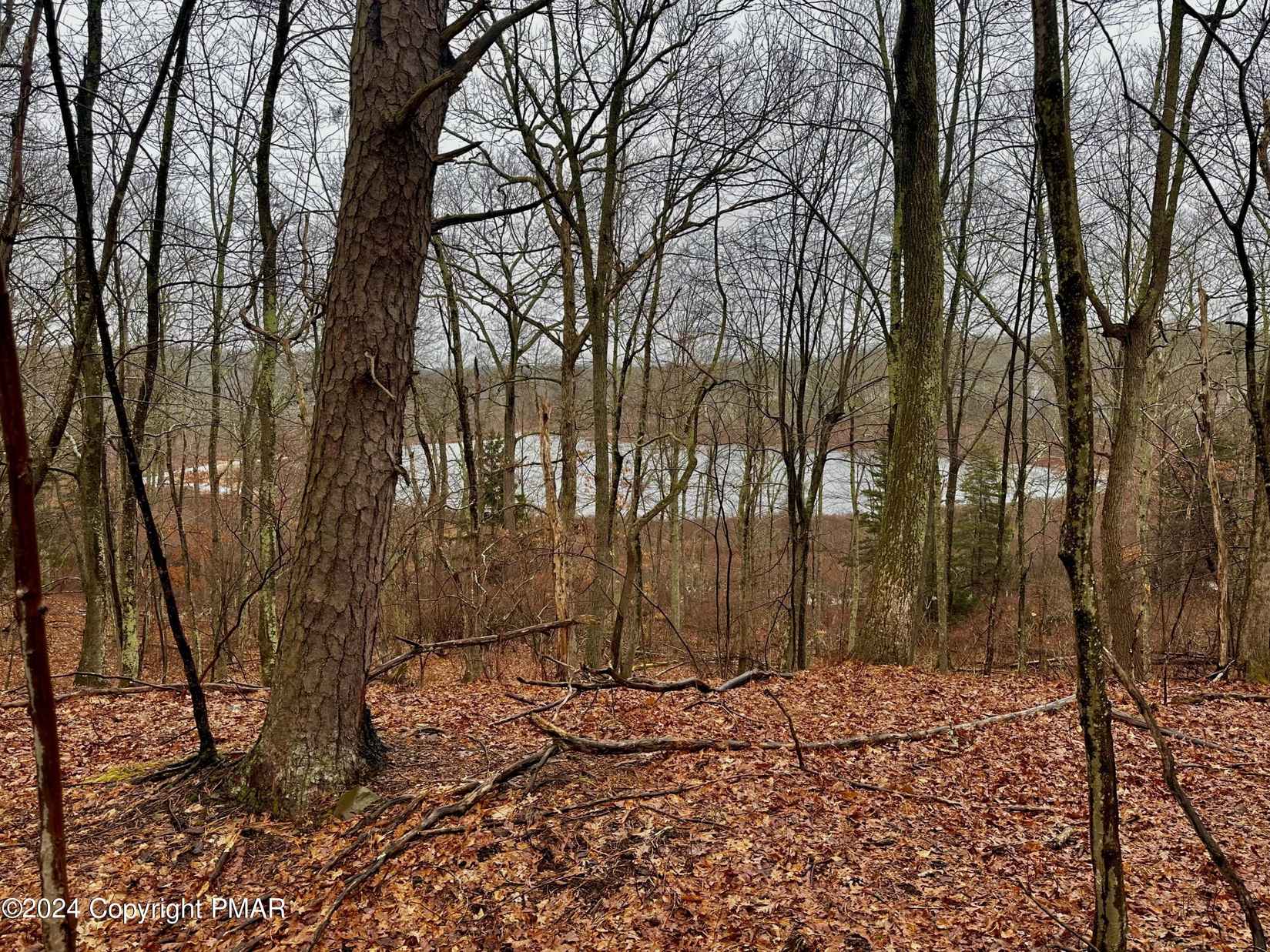 Lot 56 Oakenshield Dr  