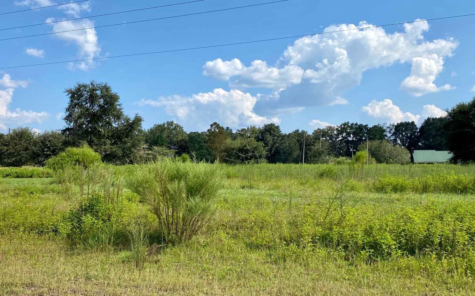 LOT13 NW LIVE OAK Cir  