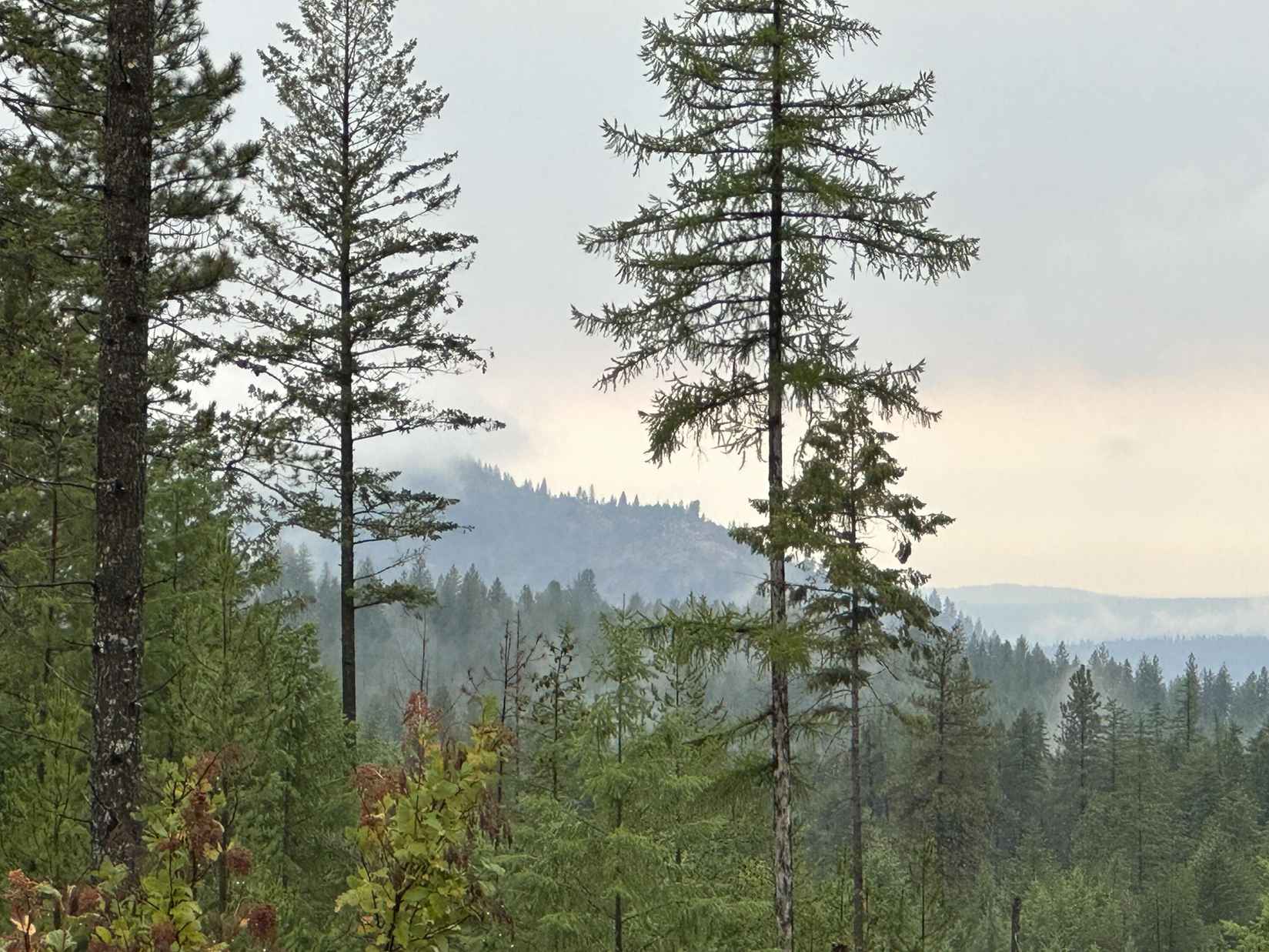 4684 LOT D GROUSE Crk RD  