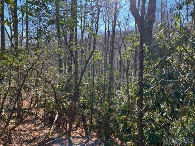 Lot 89 West Christy Trl  
