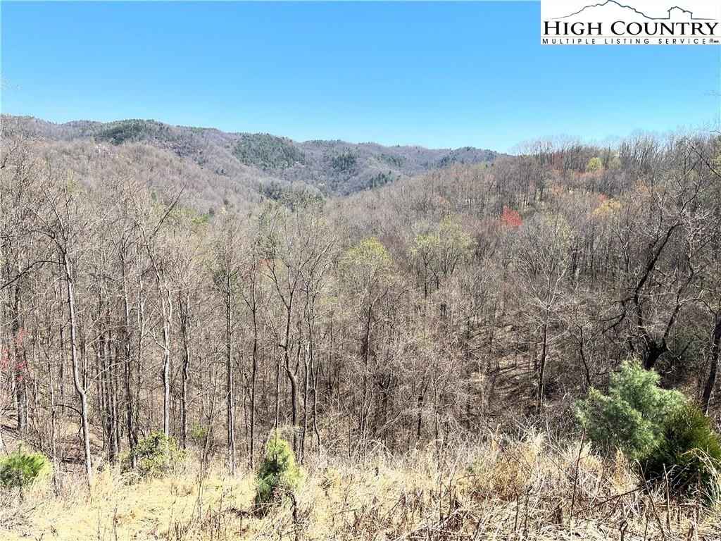 Lot 205 Powder Horn Ests Rd  