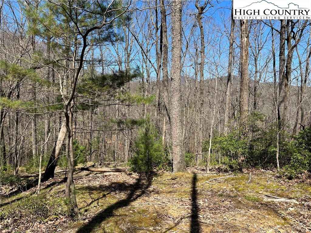 Lot 208-r Bauers Ln  