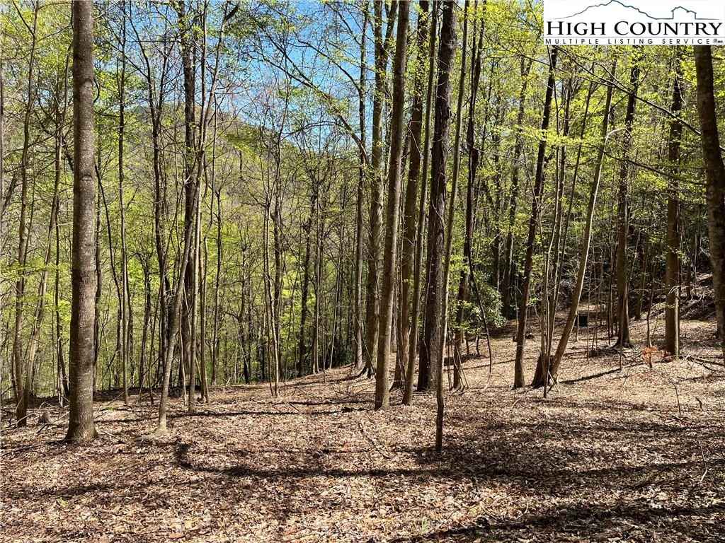 Lot 113 Avalon Way  