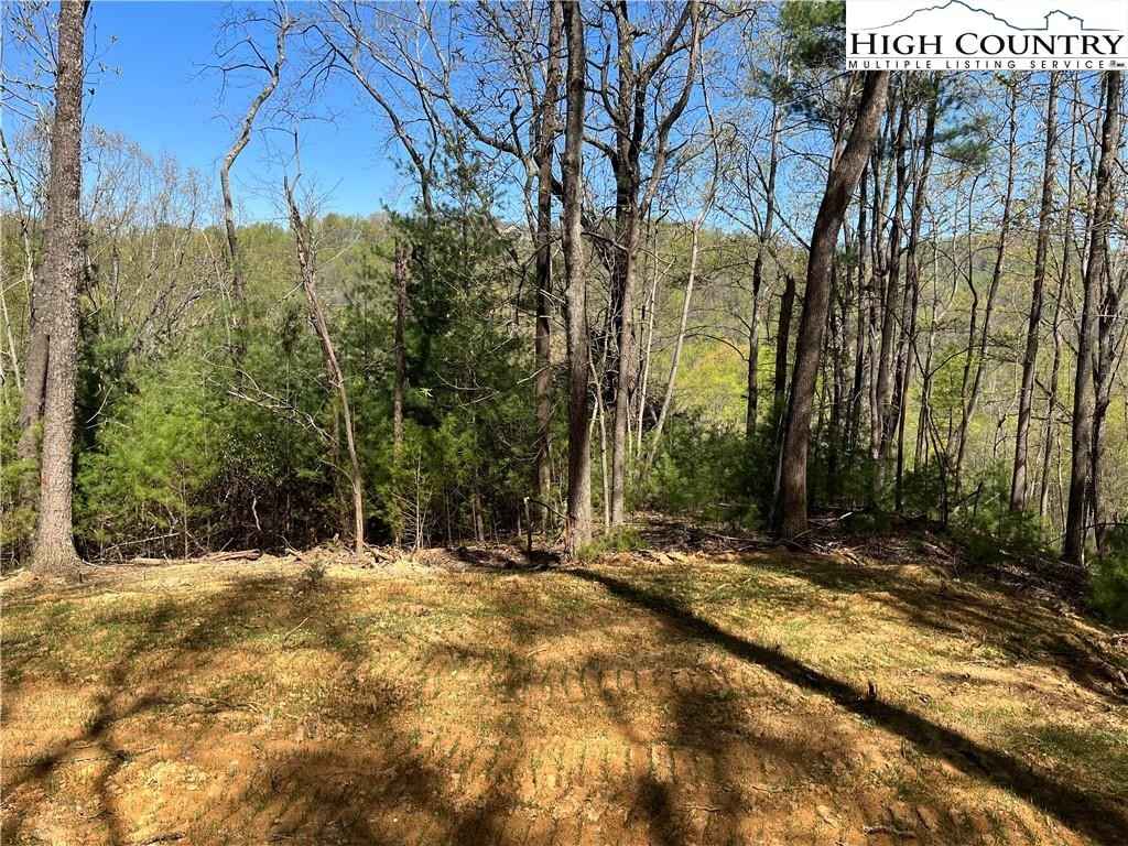 Lot 307 Sleepy Crk Rd  