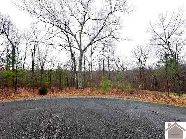 Lot 184 Yellowbird Ln  
