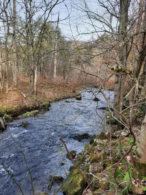 00 Deering Run RD  