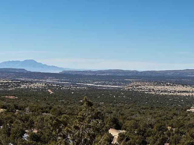 1457 Deer Cyn Tr  