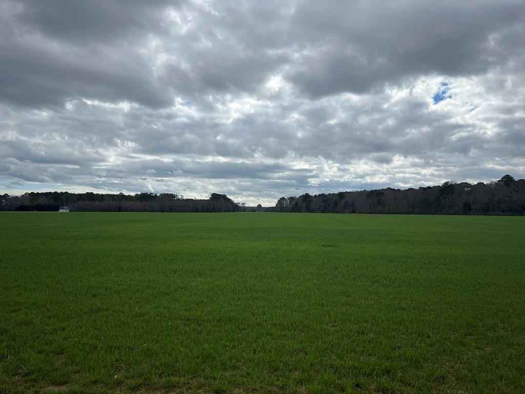 LOT 16A MILES WHARF RD  