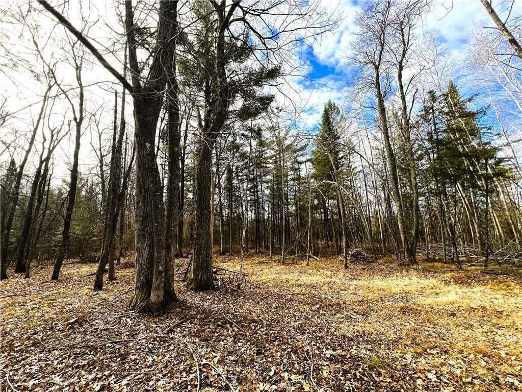 40 Acres N Irish Rd  