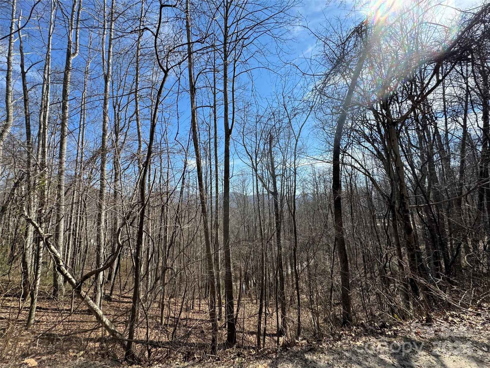 00 Windermere Woods Rd  