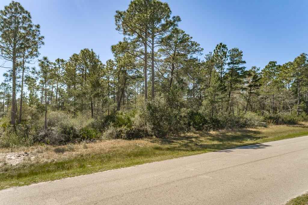 390 Ridgecrest Pkwy  