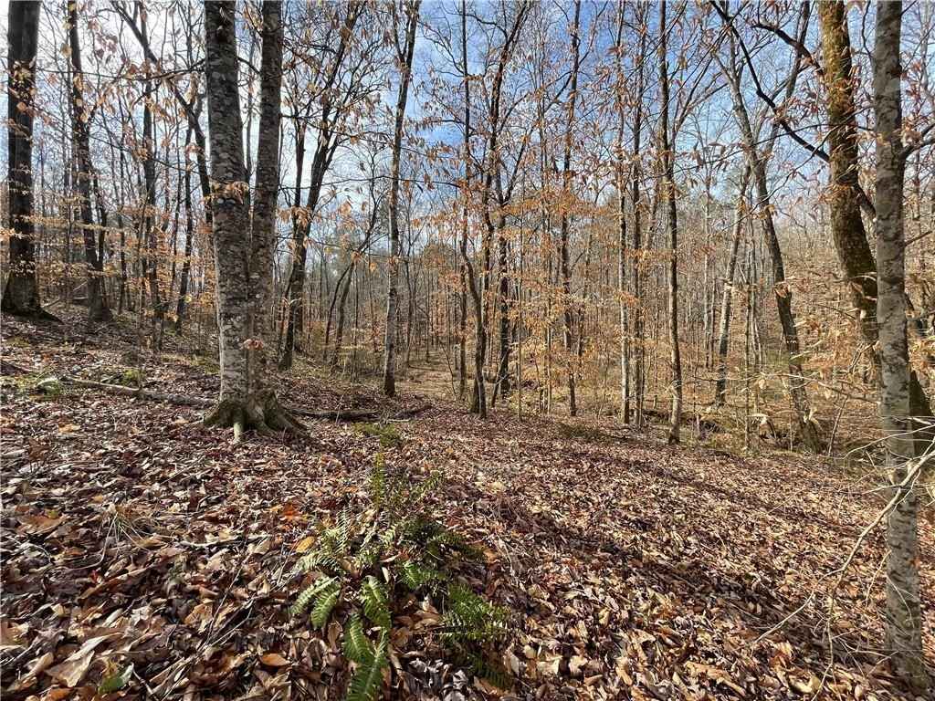Lot 2 Lee Rd 462  