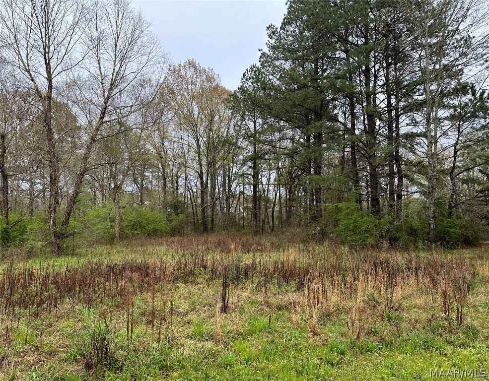 Lot 8 Plantation Dr  