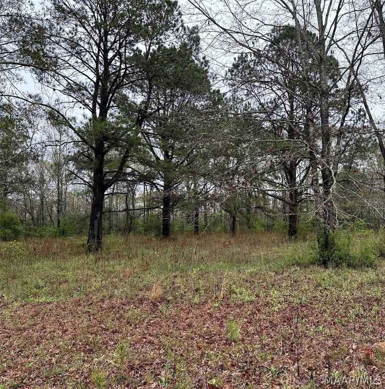 Lot 11 Plantation Dr  