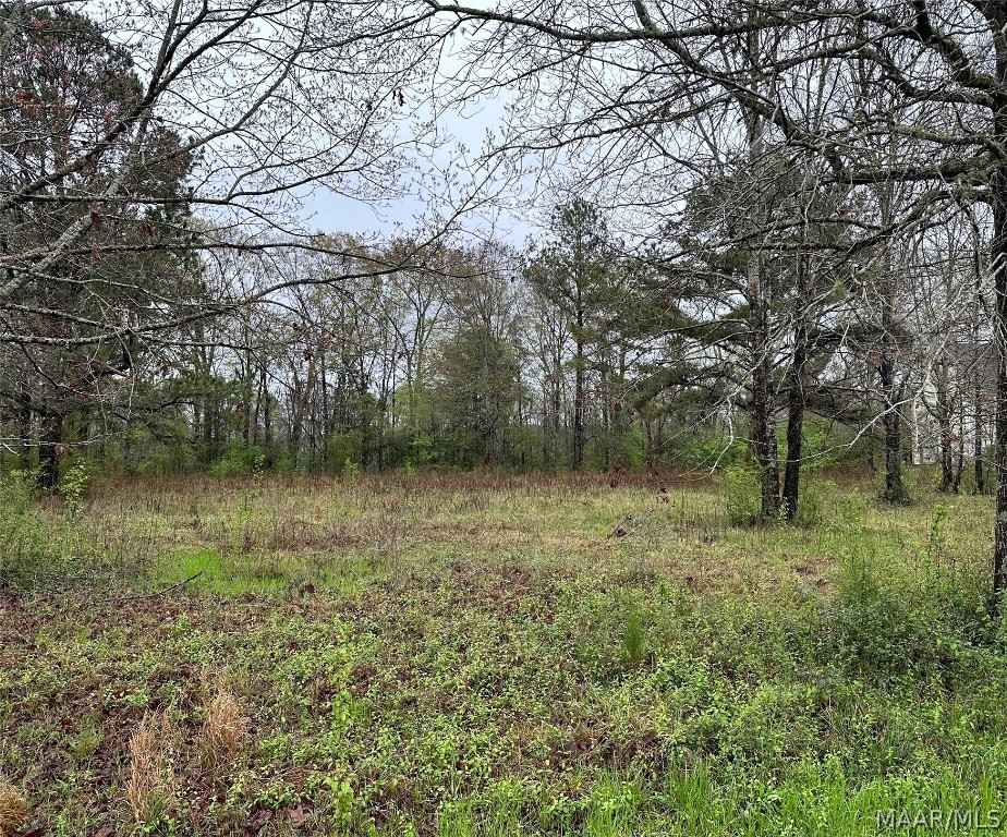 Lot 12 Plantation Dr  