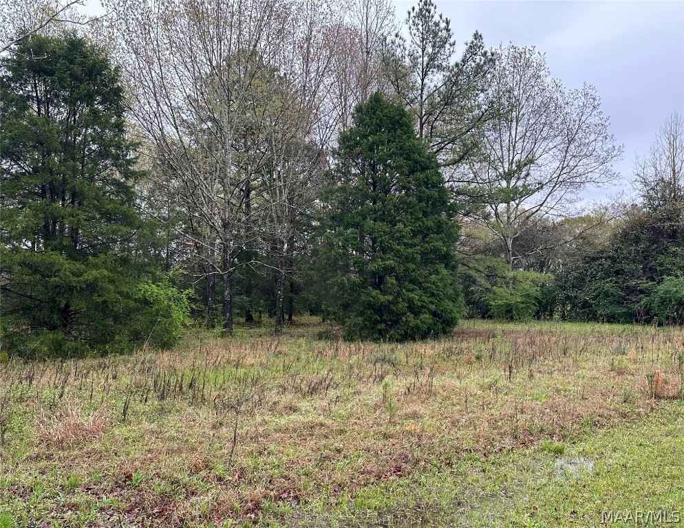Lot 14 Plantation Dr  