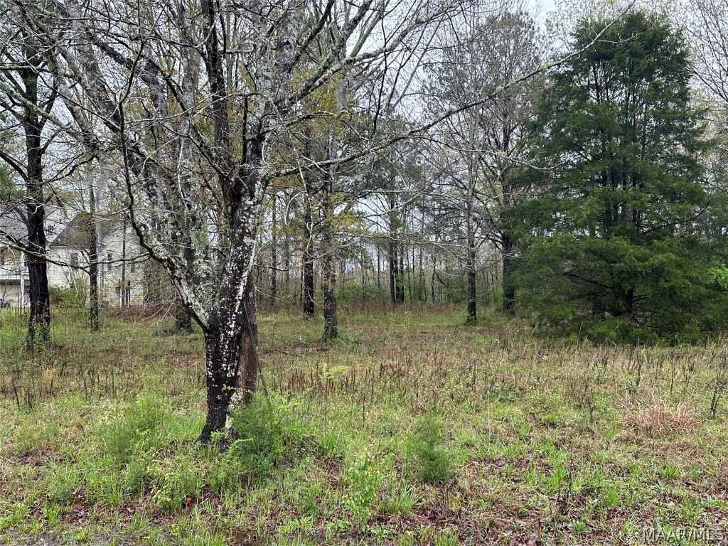 Lot 15 Plantation Dr  