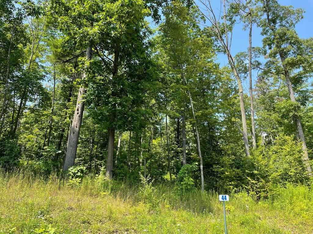 Lot 44 Hemlock Hls Rd  